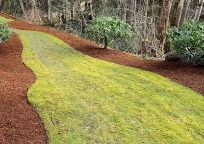 Affordable Landscape Services