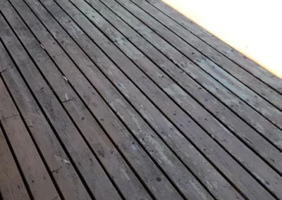 Professional Landscaping Contractor