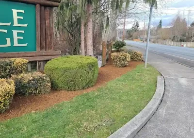 Skilled Landscaping Company