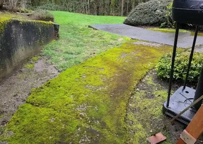 Skilled Landscaping Company