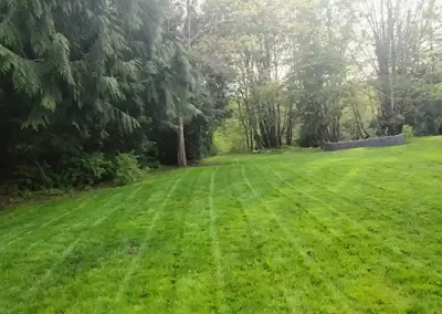 Skilled Landscaping Company