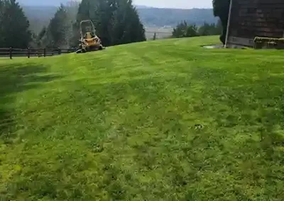 Skilled Landscaping Company