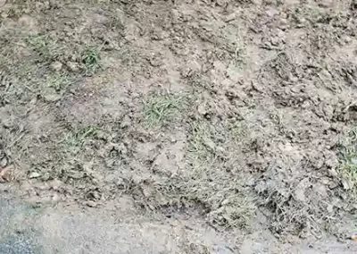 Skilled Landscaping Company