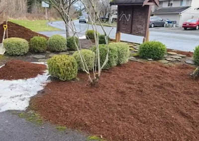Skilled Landscaping Company