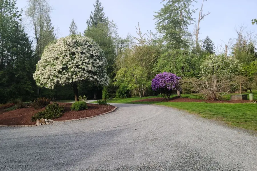 Affordable Landscaper