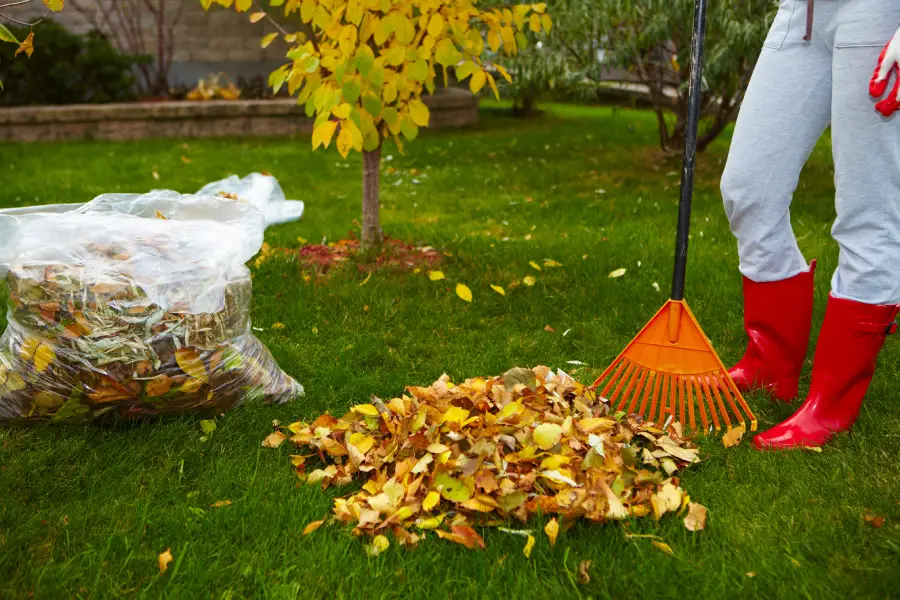 Affordable Yard Cleanup Services Monroe, WA Affordable Yard Cleanup Services Monroe, WA