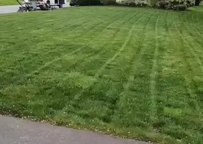 Expert Landscape Company