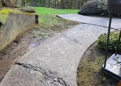 Expert Landscape Company