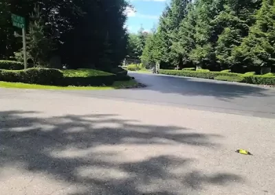 Expert Landscape Company