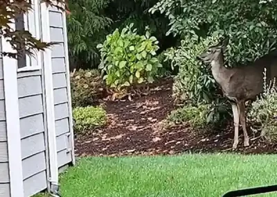 Expert Landscape Company