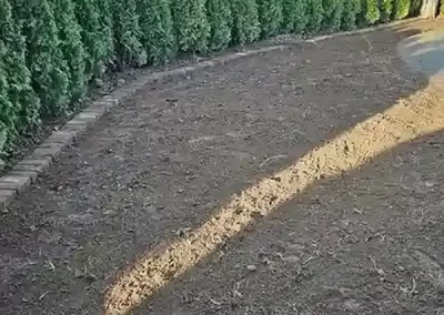 Expert Landscape Company