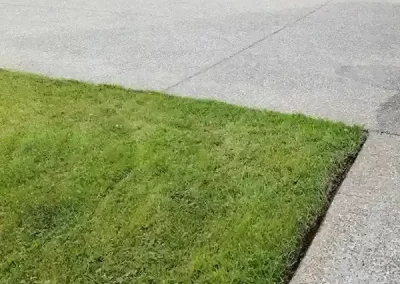 Expert Landscape Company