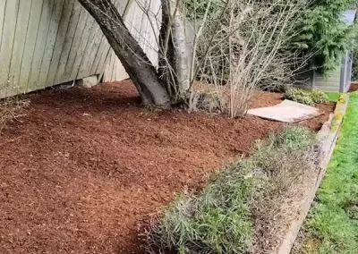 Expert Landscape Company