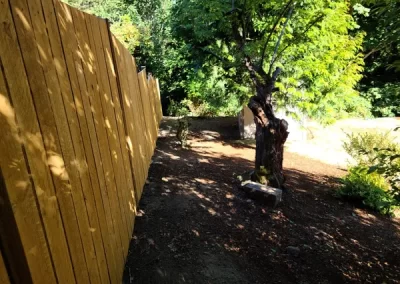 Expert Landscape Company