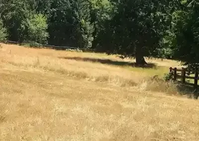 Expert Landscape Company