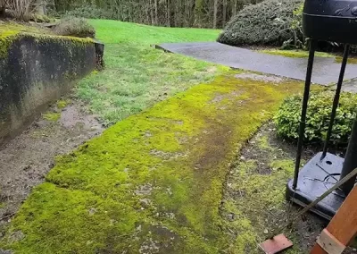 Expert Landscape Company