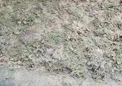 Expert Landscape Company
