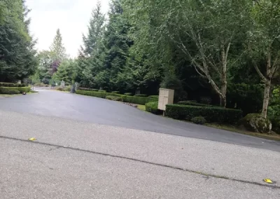 Expert Landscape Company
