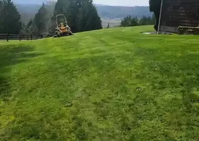 Expert Landscape Company