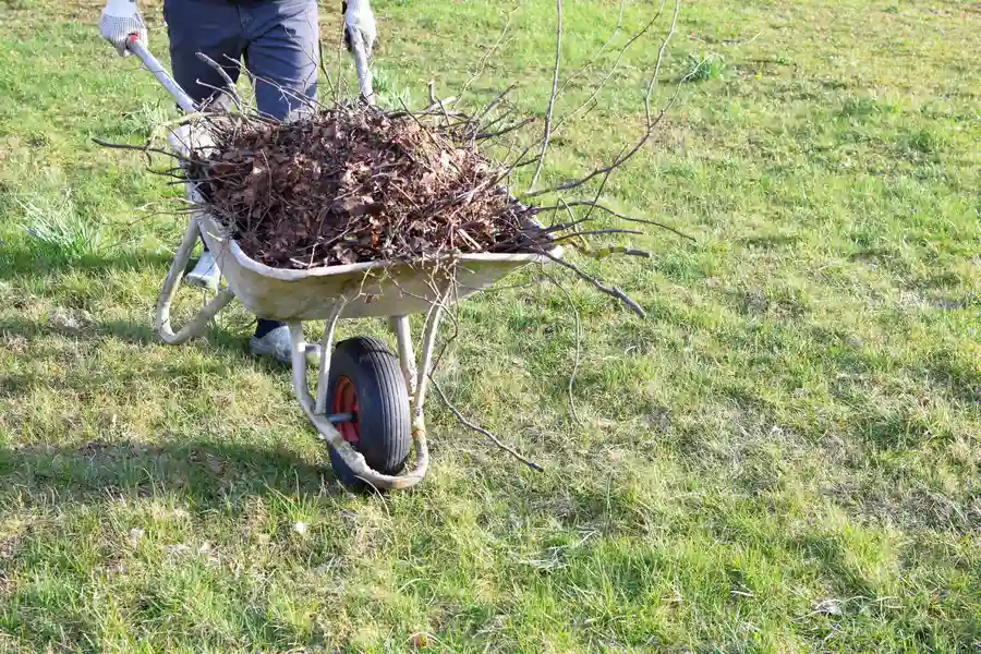 How Yard Cleanup Services Support Lawn Restoration Monroe, WA