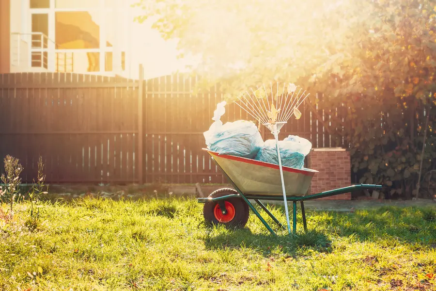 How Yard Cleanup Services Support Lawn Restoration in Monroe, WA