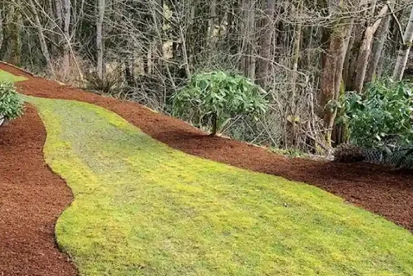 Landscape Installation