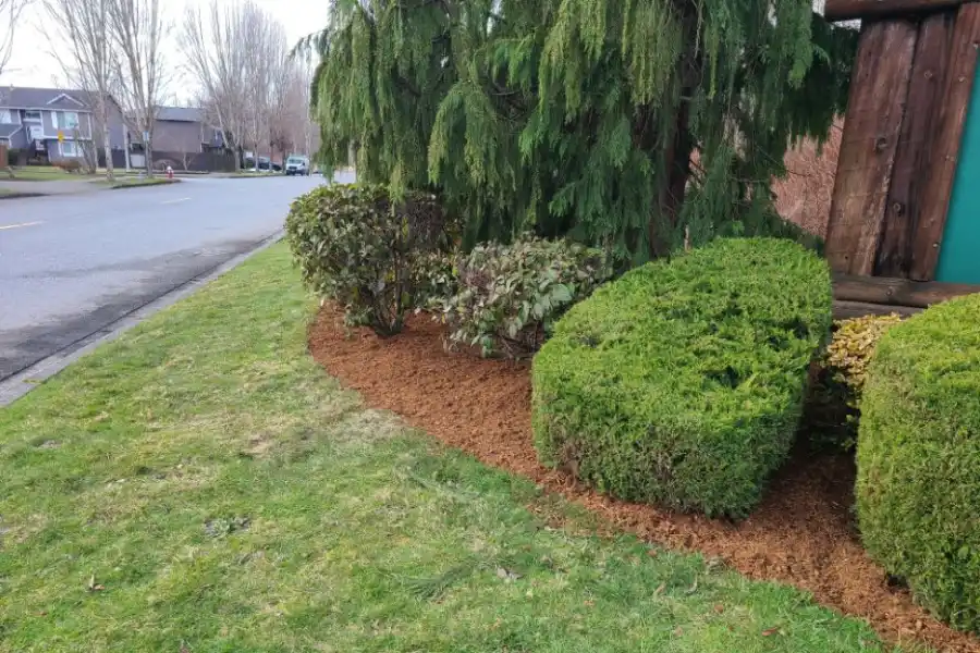 Professional Landscaper