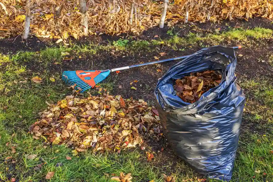 Quality Yard Cleanup Services Monroe, WA Quality Yard Cleanup Services Monroe, WA