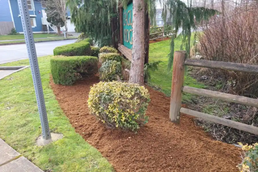Skilled Landscaper