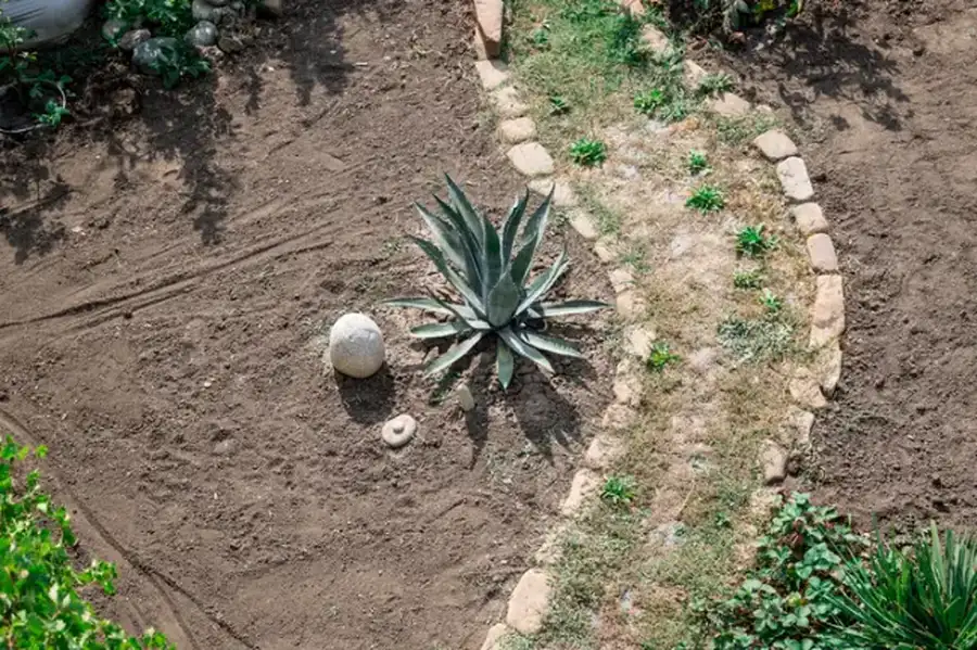 The Importance Of Professional Landscape Installation Services Monroe, WA The Importance Of Professional Landscape Installation Services Monroe, WA