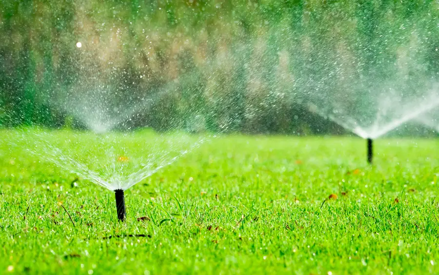 Top-rated Irrigation System Installation Monroe, WA