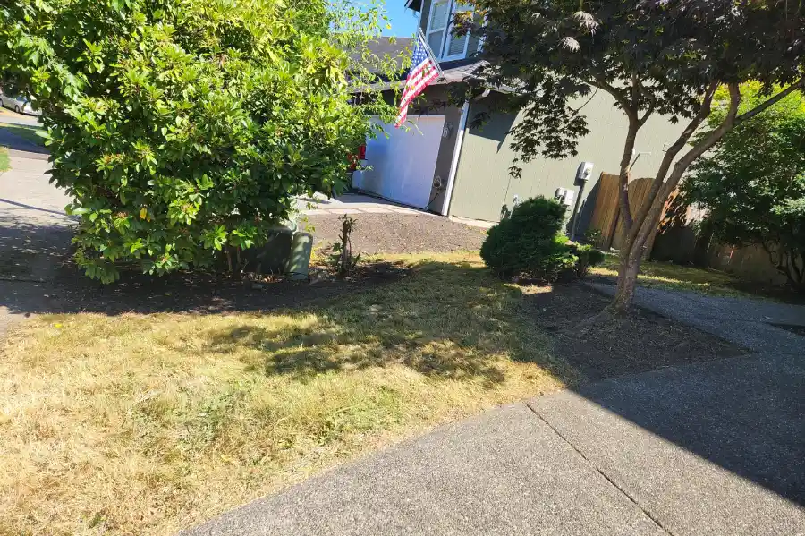 Trustworthy Landscaper