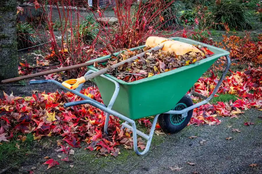 When To Schedule Yard Cleanup Services For Your Home Monroe, WA