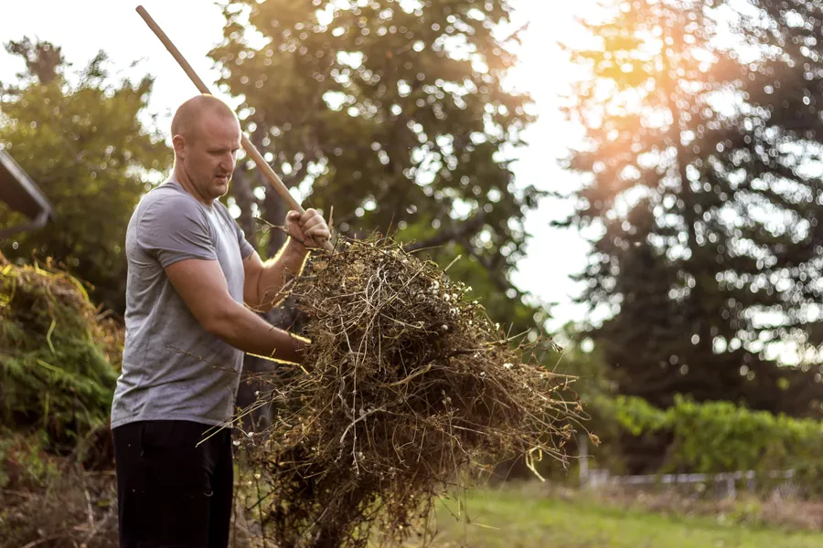 When To Schedule Yard Cleanup Services For Your Home in Monroe, WA