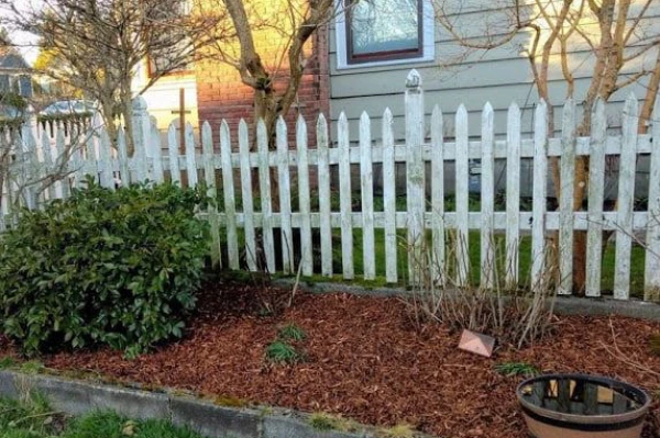 Yard Cleanup Services