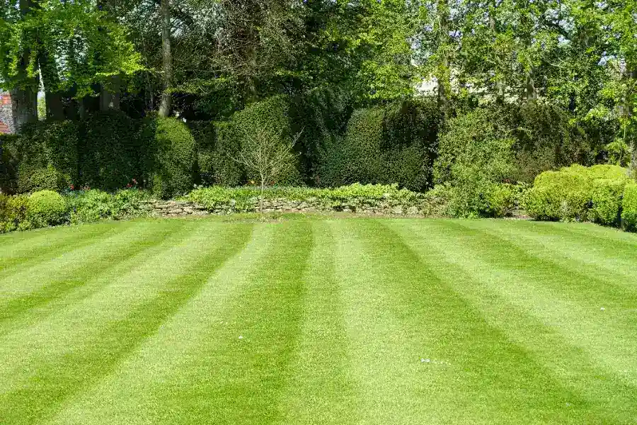 Affordable Commercial Landscape Maintenance in Monroe, WA Affordable Commercial Landscape Maintenance in Monroe, WA